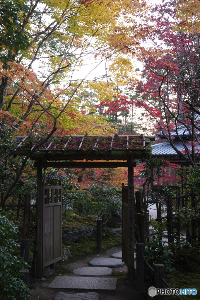 2021京の紅葉（天授庵17）