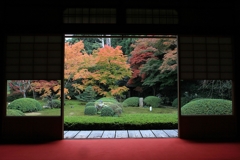 紅葉・雲龍院4（大輪の間より中庭庭園）