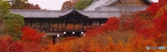 2019紅葉（東福寺）