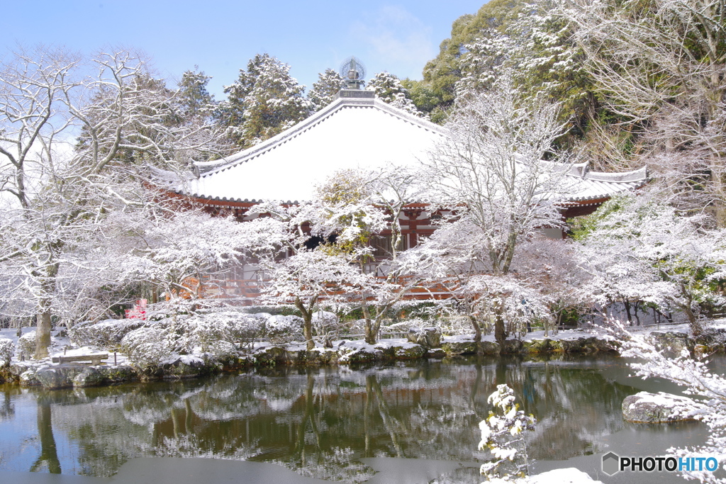 雪景2025・醍醐寺（観音堂1）