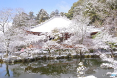 雪景2025・醍醐寺（観音堂1）