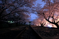 2015・桜めぐり②（インクライン・夜桜）