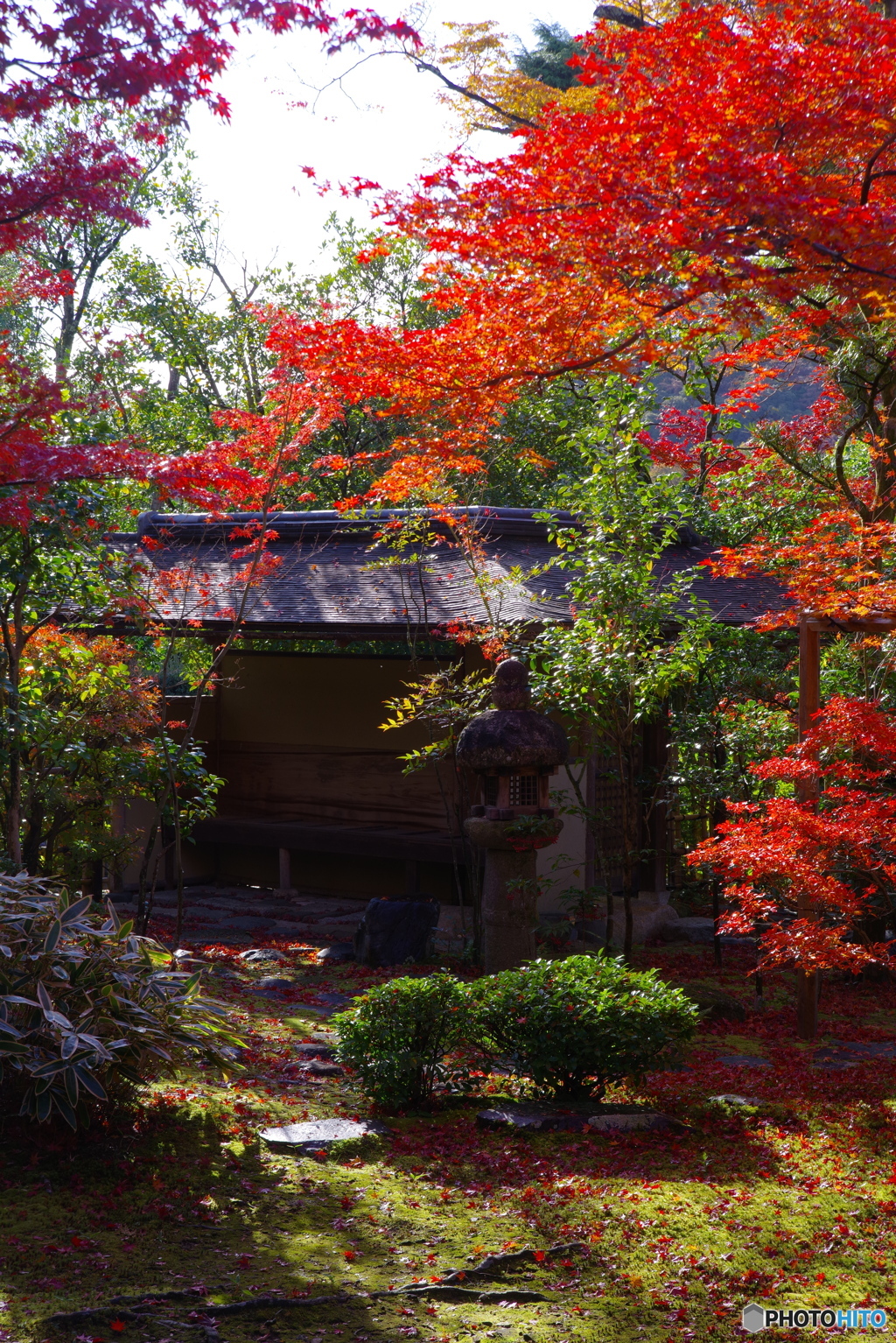 2021京の紅葉（妙心寺大法院2）