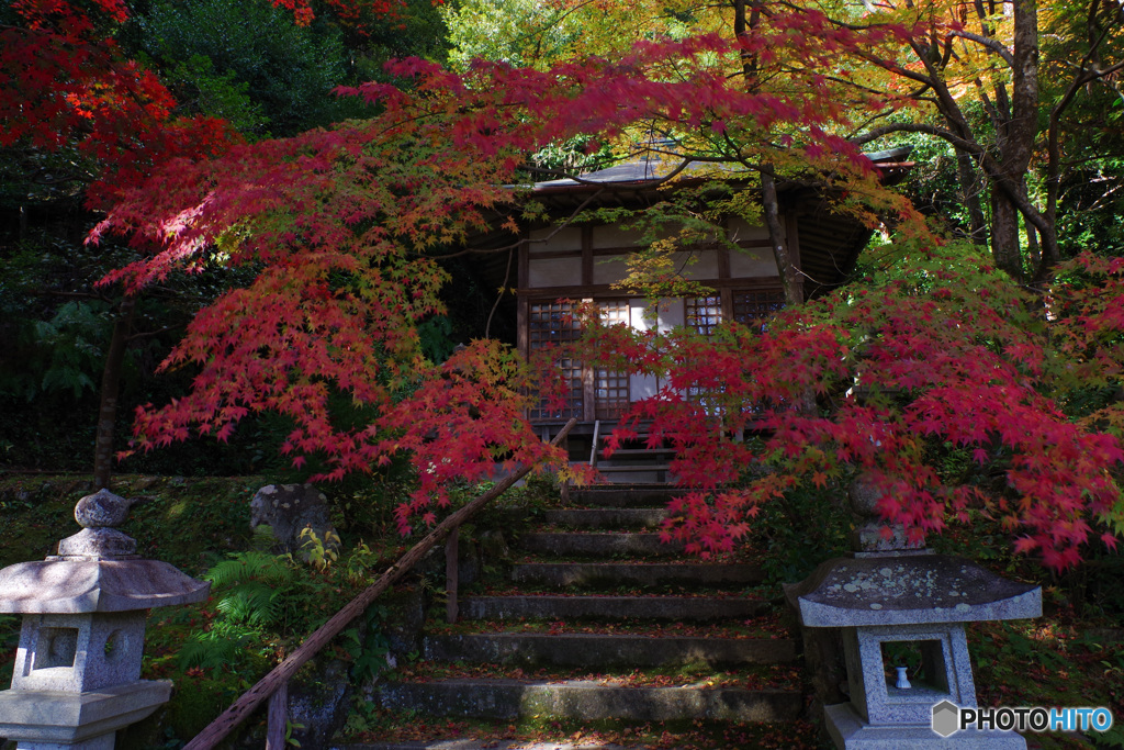 2021京の紅葉（護法堂弁財天）