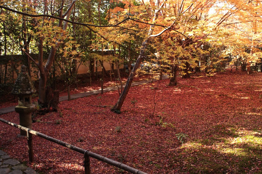 蓮華寺灯篭と散紅葉