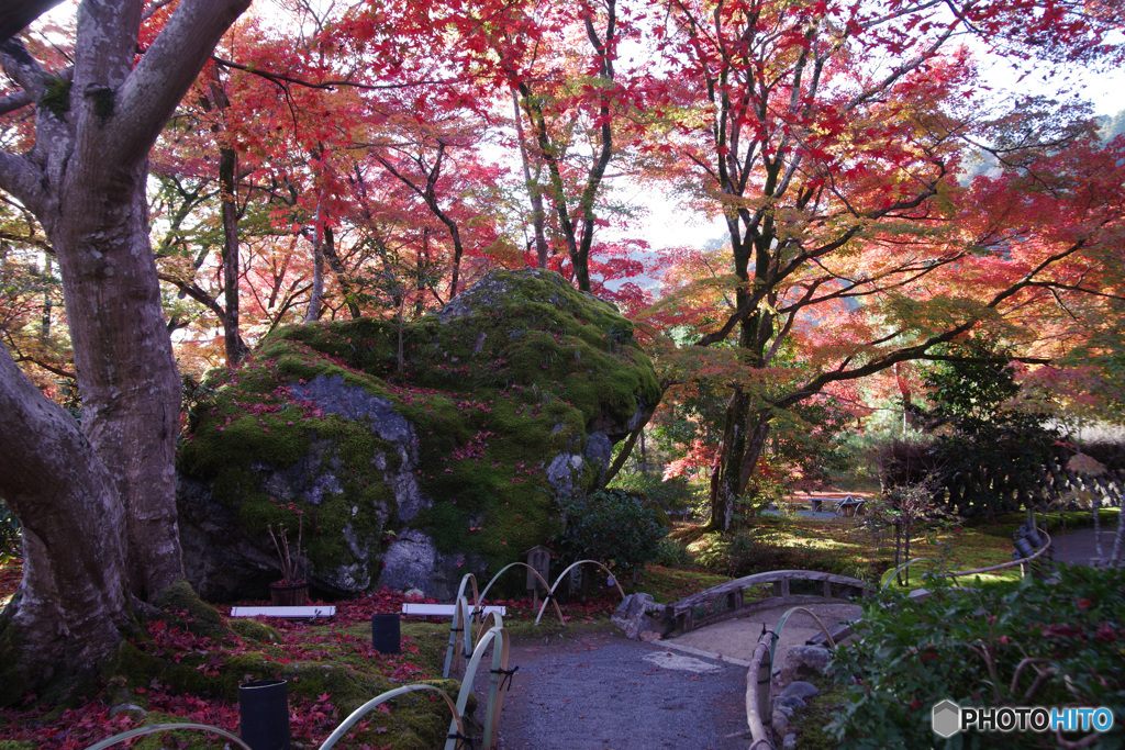 2021京の紅葉（宝厳院1）