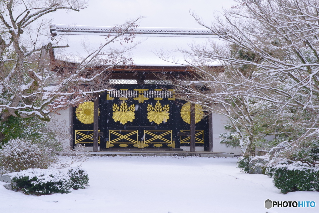 雪景2025・醍醐寺（三宝院・唐門）