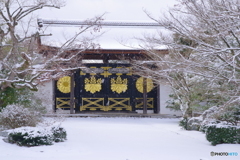 雪景2025・醍醐寺（三宝院・唐門）