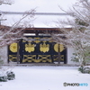 雪景2025・醍醐寺（三宝院・唐門）