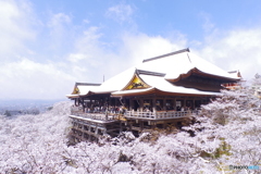 雪の清水寺8
