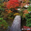 毘沙門堂の紅葉1（2020京都紅葉）
