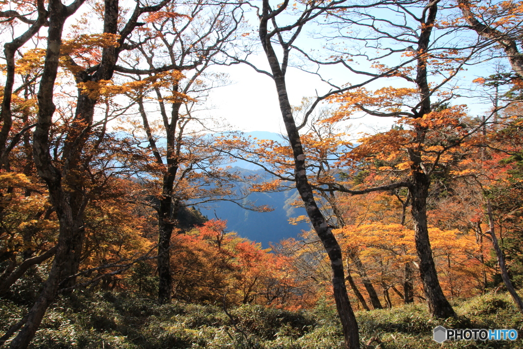 2018秋紀行（大台ケ原again2・牛石ヶ原付近）