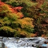 2015紅葉（みたらい渓谷2）