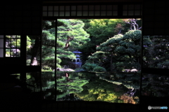2018京の夏の旅（旧邸御室2　庭鏡2）