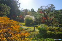 對流山荘の紅葉2