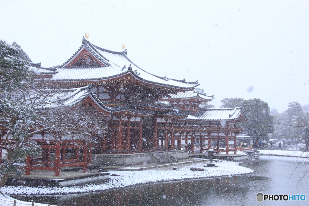 ２０１７京雪景1（平等院2）