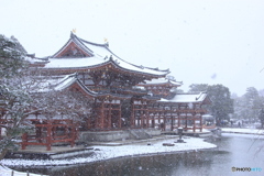 ２０１７京雪景1（平等院2）