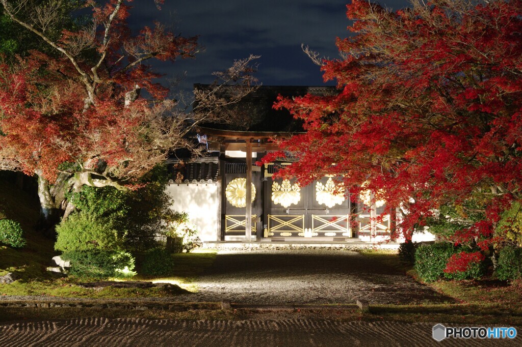 三宝院紅葉ライトアップ1
