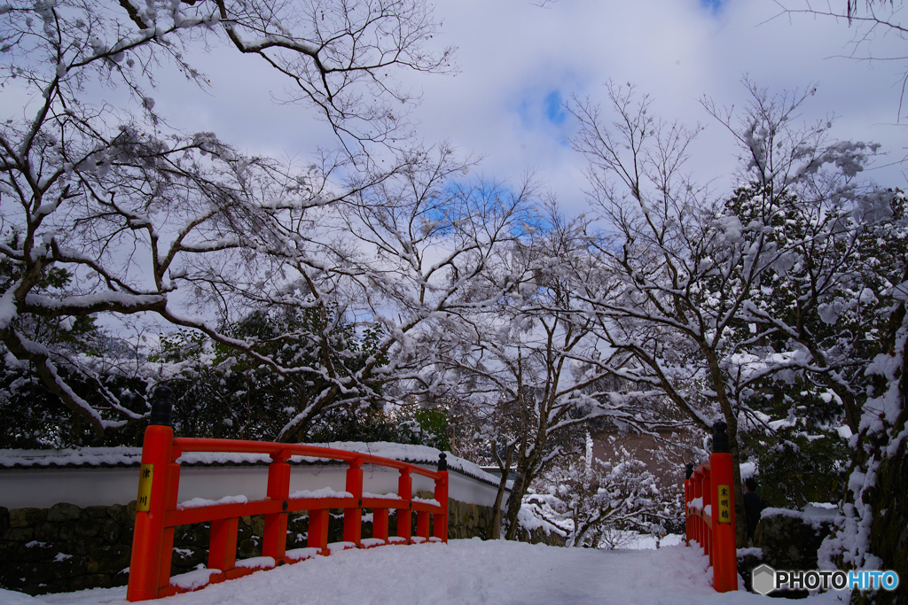 雪・大原2022（律川・末明橋）