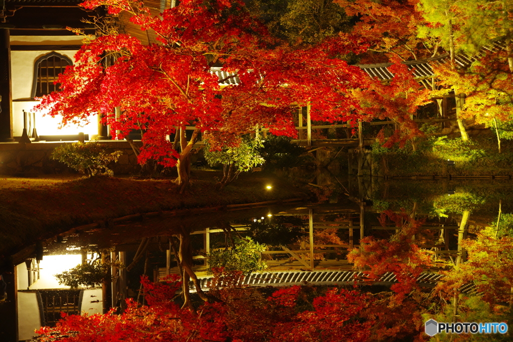 2018紅葉（高台寺ライトアップ2）