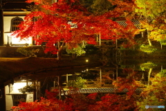2018紅葉（高台寺ライトアップ2）