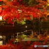 2018紅葉（高台寺ライトアップ2）