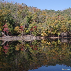 水鏡の紅葉（2020京都紅葉）