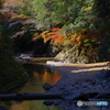 京都北山にて1（2020京都紅葉）