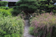 萩・常林寺