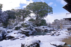 雪景2025・醍醐寺（三宝院・表書院回廊より三宝院庭園を望む2）