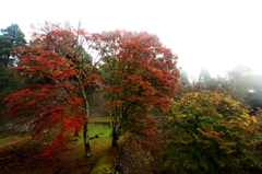 2015紅葉(高取城跡1)