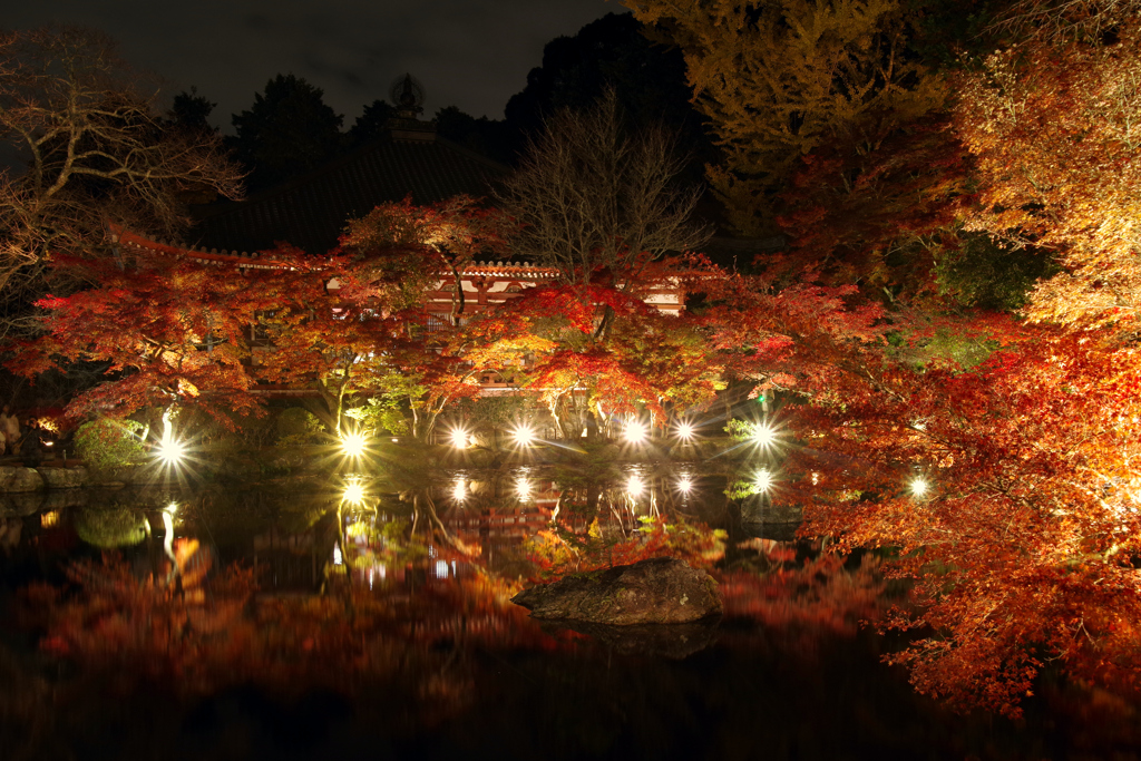 醍醐寺紅葉ライトアップ2