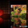 湖南三山の紅葉1（長寿寺庫裏内　2022紅葉）