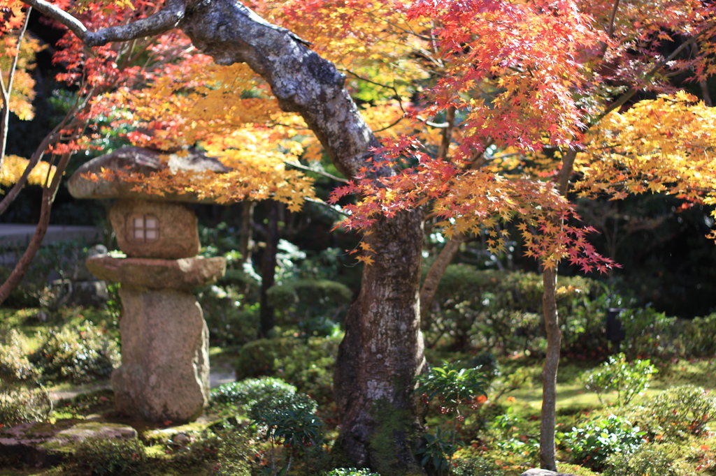 圓光寺3