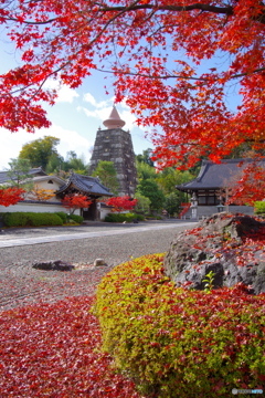 2021京の紅葉（妙満寺1）