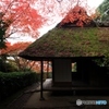 2015紅葉（金福寺2）
