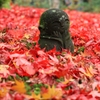 2014秋・終宴②（圓光寺散紅葉２）