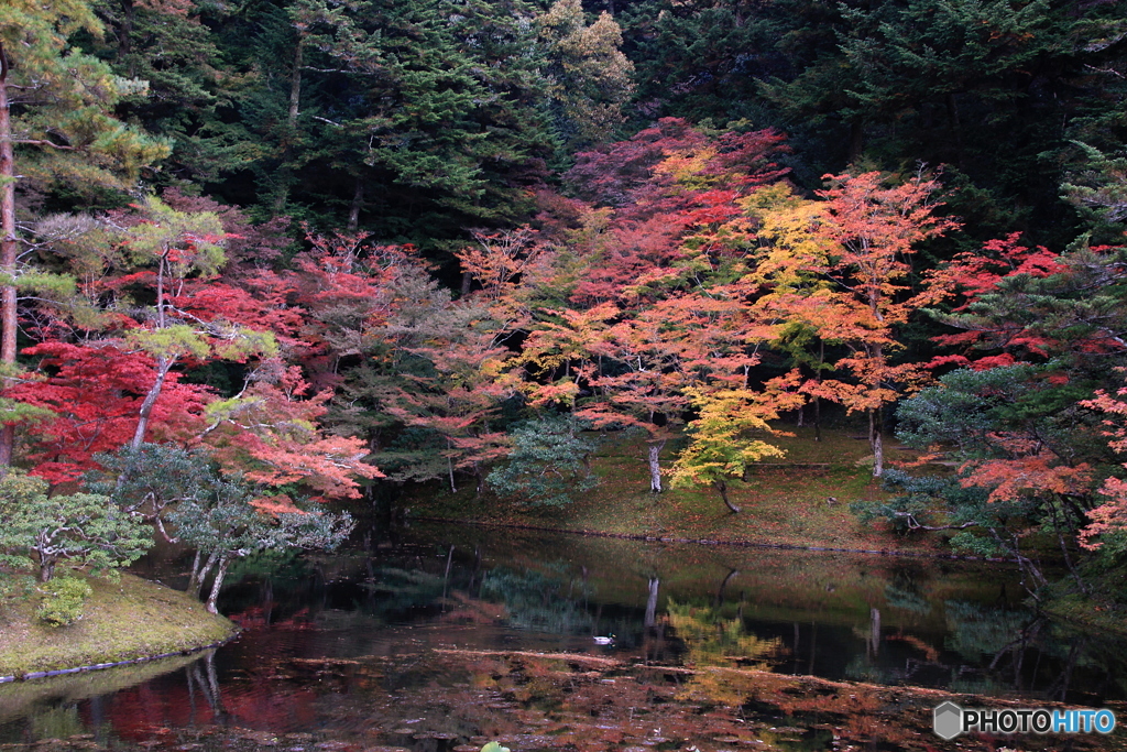 2017秋紅葉（修学院離宮1　紅葉谷）