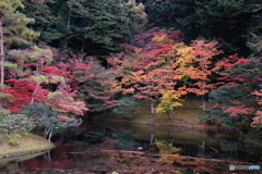 2017秋紅葉（修学院離宮1　紅葉谷）