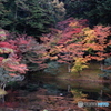 2017秋紅葉（修学院離宮1　紅葉谷）