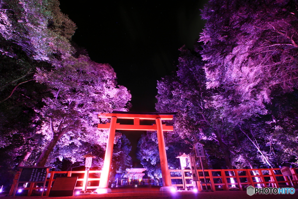 糺の森の光の祭7（南口鳥居と楼門2）