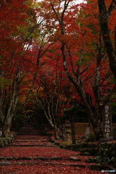 2018紅葉（鶏足寺2）
