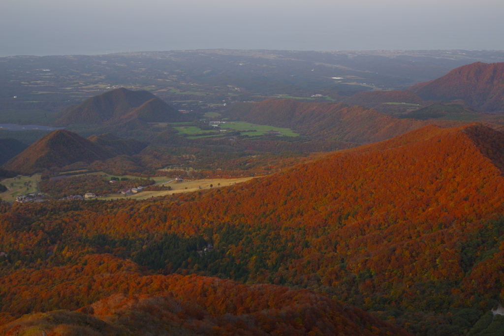 大山の紅葉