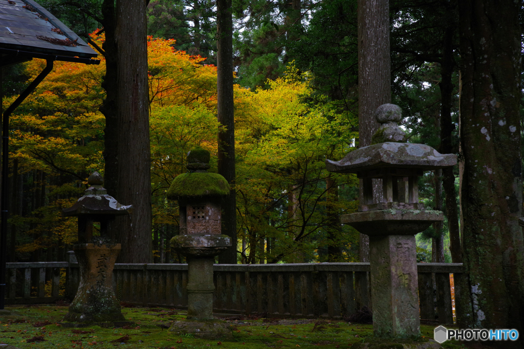 京都北山にて5（2020京都紅葉　道風神社）
