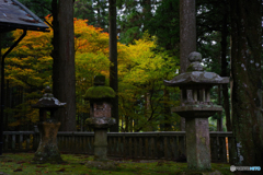 京都北山にて5（2020京都紅葉　道風神社）