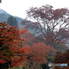 2016秋景色5（紅葉　大原　勝林院）