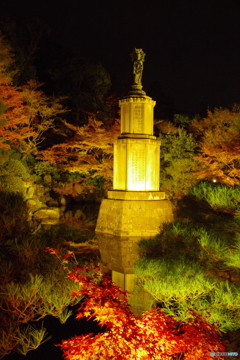 2019紅葉（知恩院ライトアップ 友禅苑）