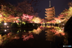 2016秋景色6（東寺ライトアップ　紅葉）