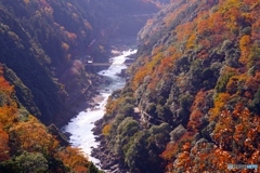 2019紅葉（保津峡 トロッコ電車）