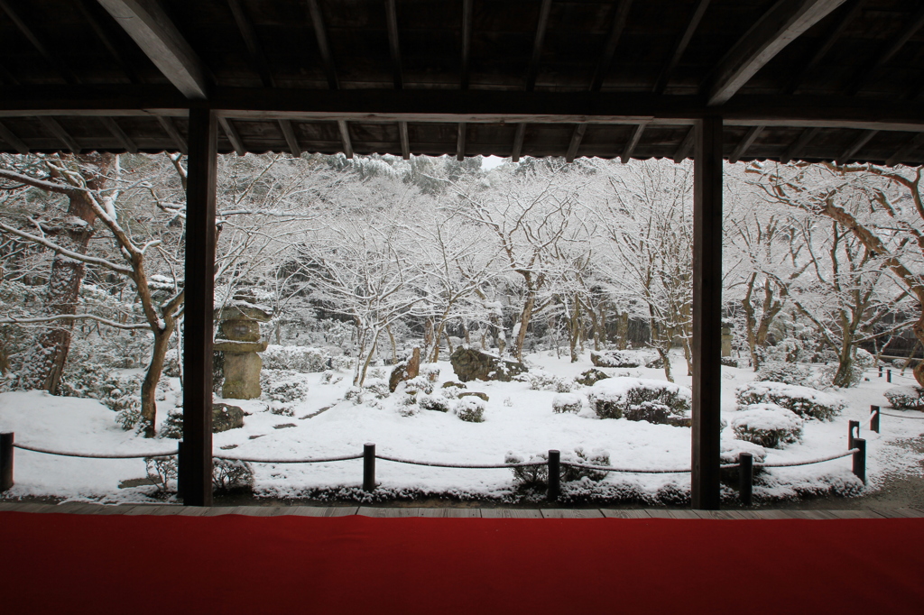 2015年古都初め②（圓光寺）